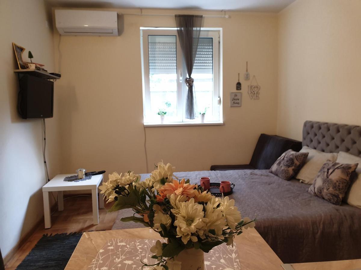 Studio Dunja Apartment Vrnjacka Banja Luaran gambar